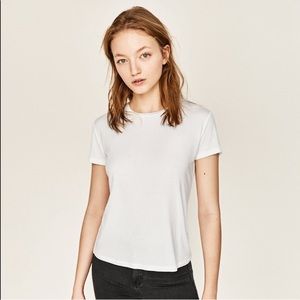 Zara | white basic tee shirt T-shirt top NWT